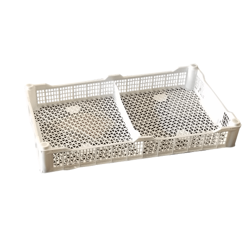Berries 50X30 G2 Blanco - Canales Distribución