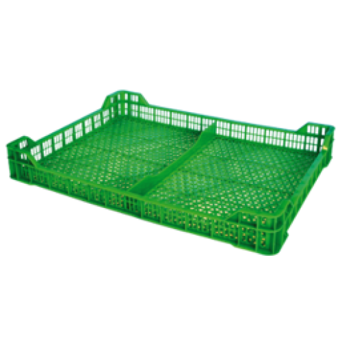 Berries 45X34 G2 Verde - Canales Distribución