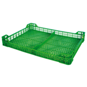 BERRIES 45X34 G2 VERDE(320)(0040311V0006)