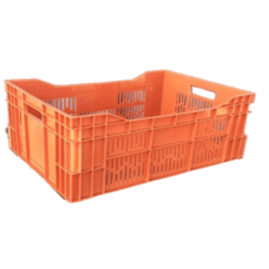 FRUTERA 44 LTS RVC L2(80)(0040902R0006)