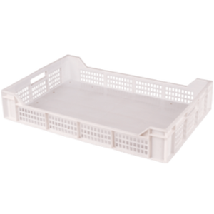 BERRIES 60X40 RVC BLANCO(130)(0040303V0002)