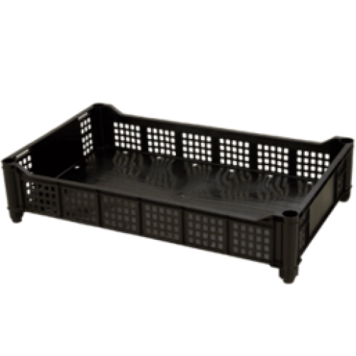 Berries Berrytray L2 Negro
