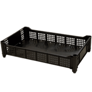 BERRIES BERRYTRAY L2 NEGRO(200)(0040305R0025)