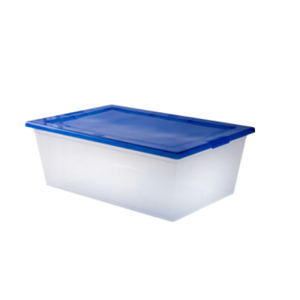 CAJA MYBOX 10 LTS G2.(50 UN)(800P)