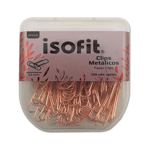 CAJA CLIPS METÁLICOS