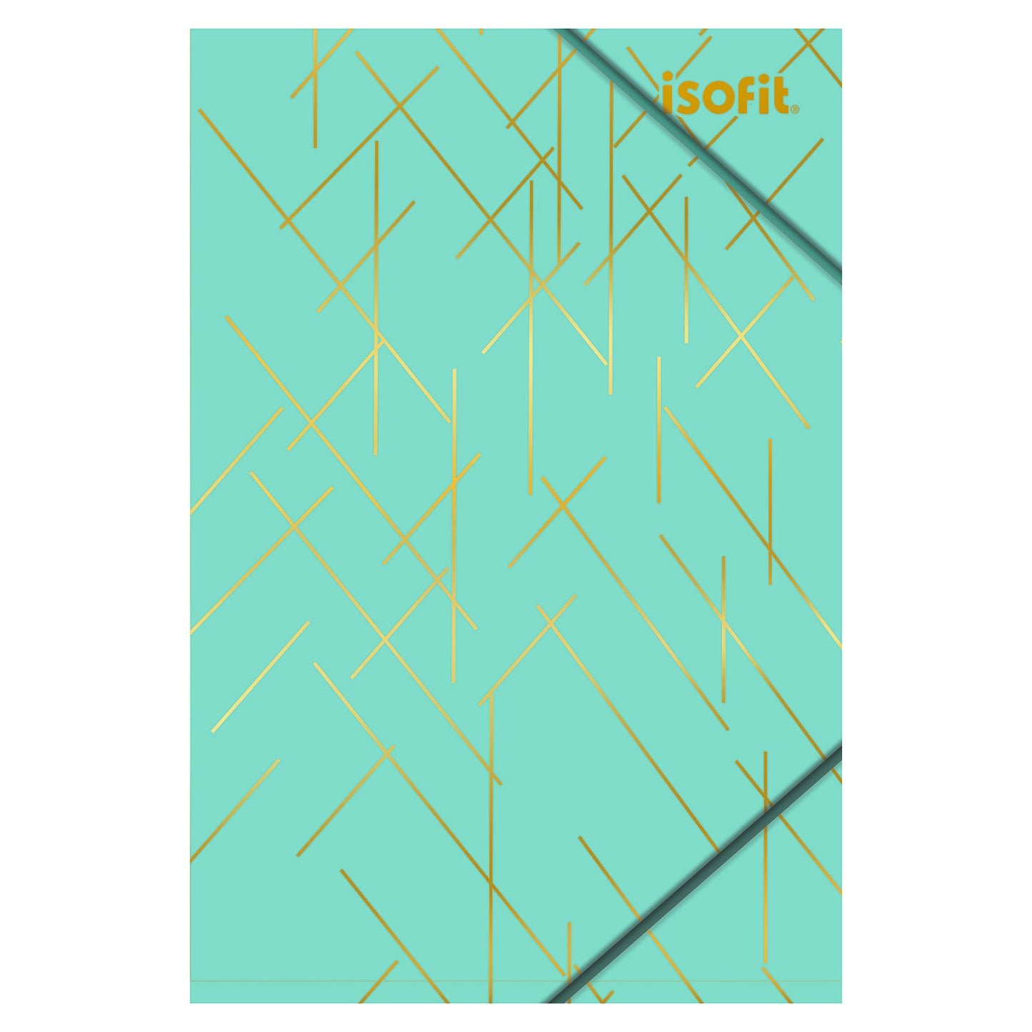 CARPETA ELASTICO OFICIO ISOFIT-DSG/W FOLIA