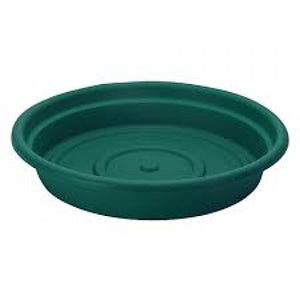 PLATO RED DK VERDE#8, 20CM